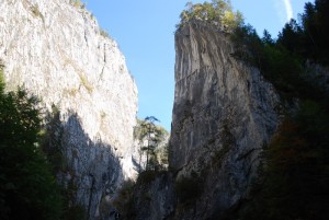 DSC_0231_resize
